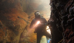 explore caves diving canaries